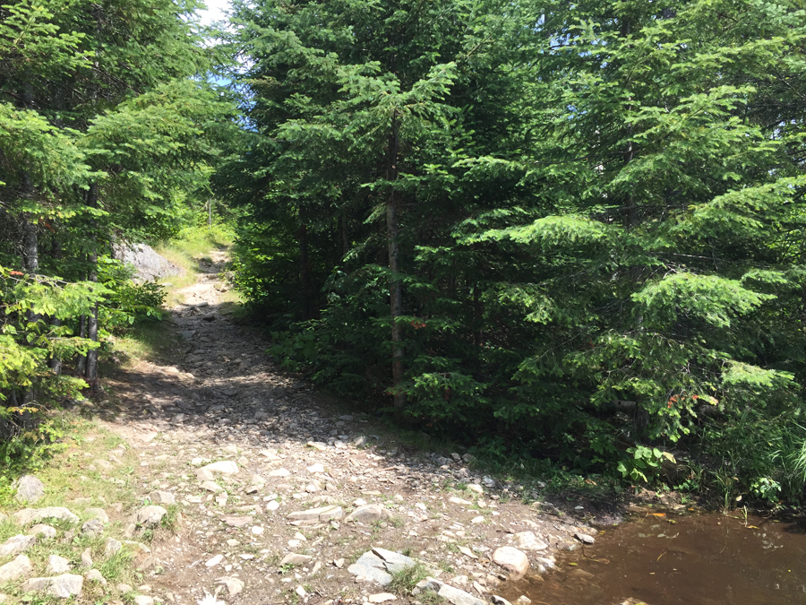 Portage from Jitterbug Lake to Adventure Lake